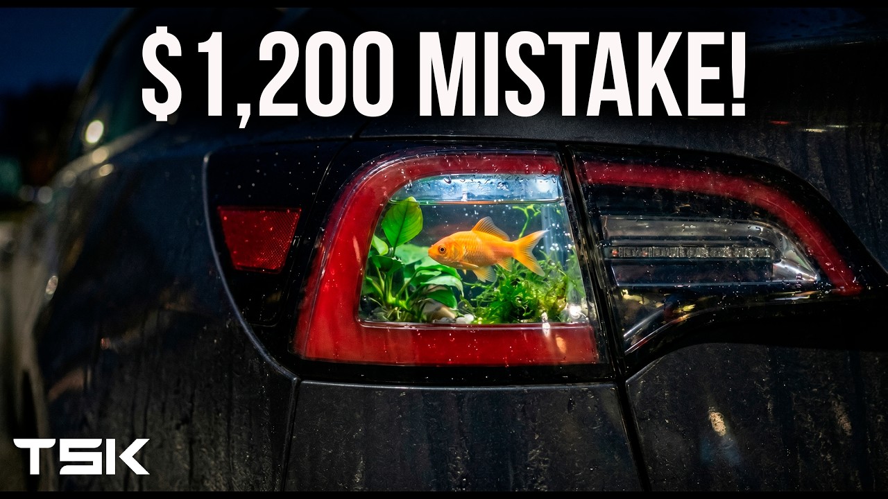 Stop Damaging Your Tesla: Daily Maintenance Tips